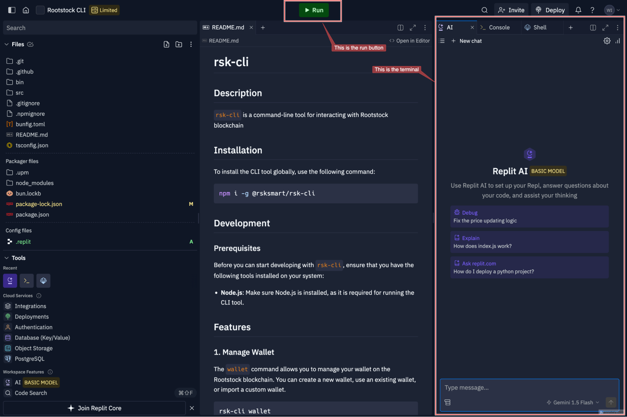 Run RSK-CLI on Replit